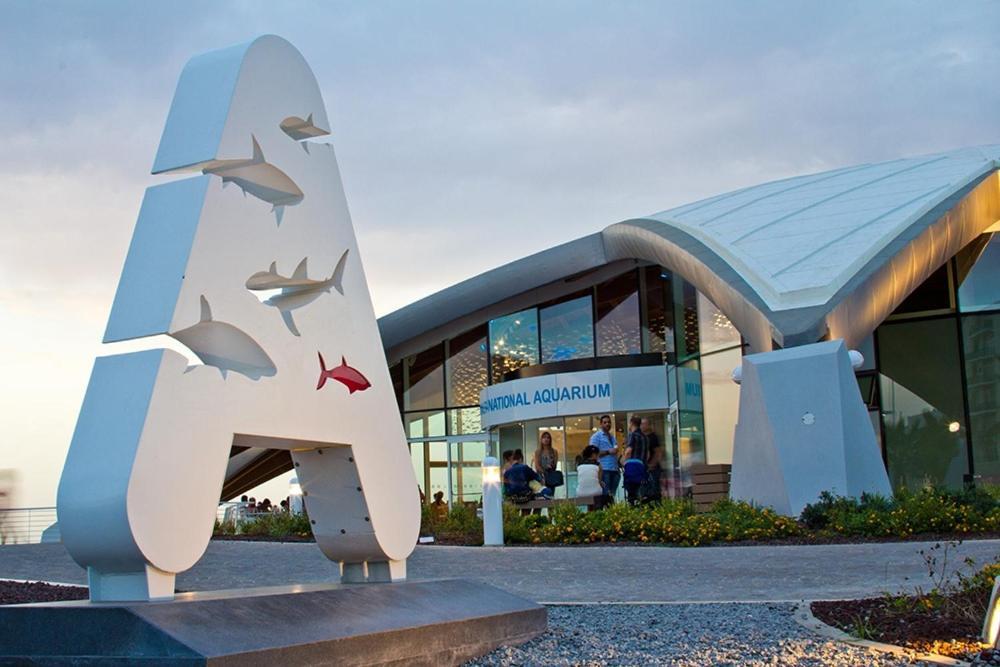 Aquae Stays St. Paul's Bay Exterior photo